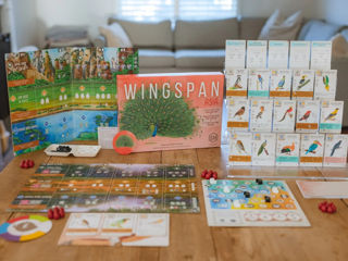 Wingspan Asia (RO)