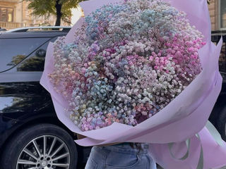 Livrare flori ursuleti baloane доставка цветов шарики плюшевые мишки flower delivery foto 5