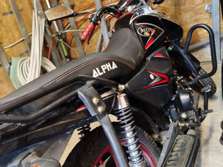 Alpha Moto foto 3