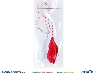 Martisor Мэрцишор от 1,45 лея foto 2