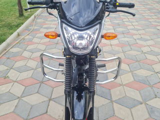 Viper 250 foto 5