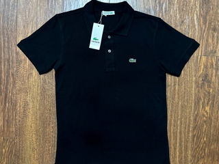 Polo Lacoste foto 2