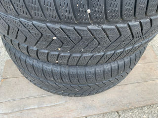 R18/55/255 Pirelli (Iarna) foto 3