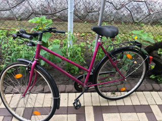 Biciclete foto 3