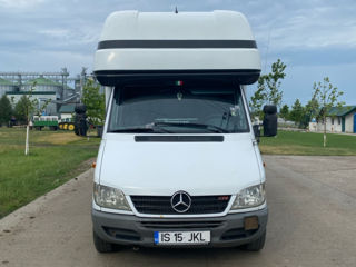 Mercedes Sprinter foto 3