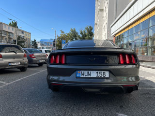 Ford Mustang foto 6