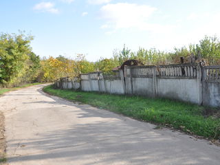 Lot 5 ha Cojușna, în apropiere de lacul Ghidighici foto 4