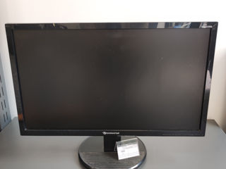 Monitor Pacord Bell 233 DX