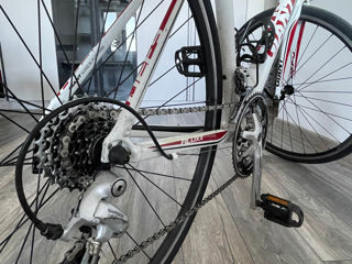 Giant Defy foto 3