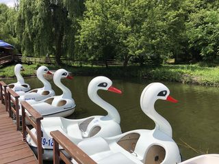 Vindem Hidro bicicleta lebădă pe apa foto 1