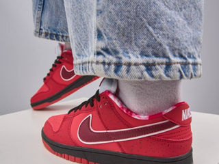 Nike SB Dunk Low Red Lobster Unisex foto 5