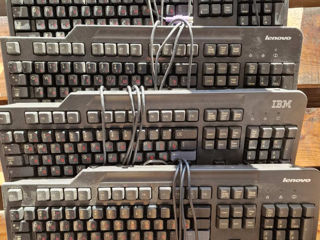 Tastaturi Lenovo ps2