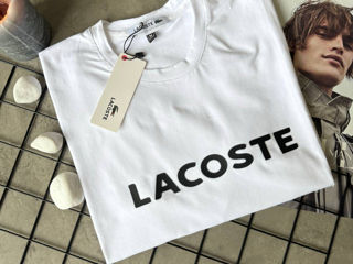 lacoste foto 4