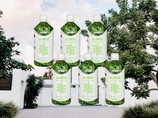 Olivox  suc natural pentru detox foto 0