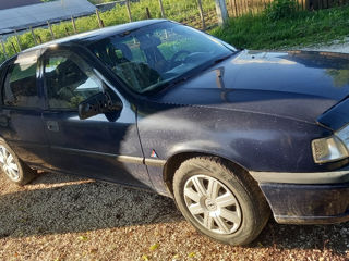Opel Vectra фото 0