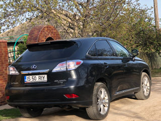 Lexus RX Series