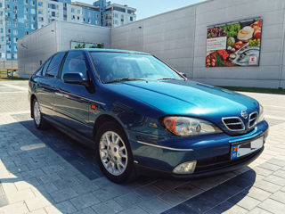 Nissan Primera foto 4