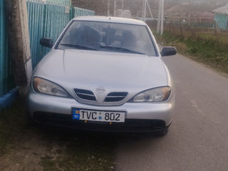 Nissan Primera