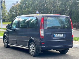 Mercedes Viano foto 6