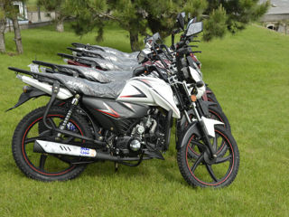 Alpha Moto 110cc/2024!!! foto 3