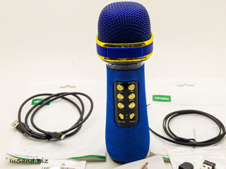 Microfon Karaoke Pentru Copii - "Karaonika MD-2" foto 12