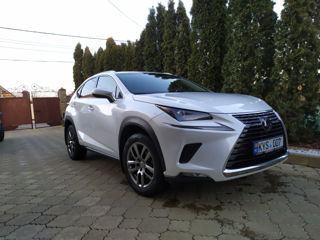 Lexus NX Series