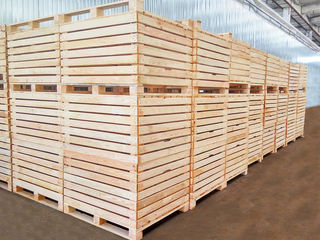 Containere din lemn pentru mere ( legume si fructe) foto 1