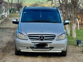 Mercedes Viano