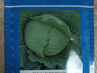 Seminte de legume (hibrizi) foto 10