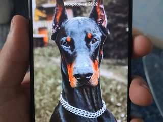 Vînd urgent Xiaomi RedMi Note 8 Pro 6/128 GB Black foto 1