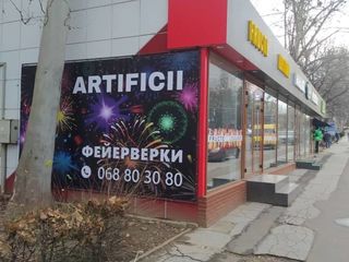 Artificii Botanica / фейерверки, салюты, Ботаника foto 2