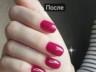 Alungirea unghilor +shellac  /наращивание ногтей : коррекция ;лак-гель    чеканы foto 4