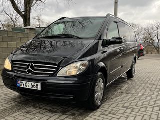 Mercedes Viano foto 1