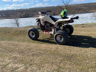 Suzuki LTZ 450  foto 1