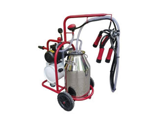 Aparat De Muls Vepemir (1 Post/1 Bidon 40L. Inox) - j6 - livrare/achitare in 4rate/agrotop foto 3