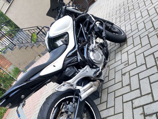 Suzuki SFV 650