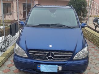 Mercedes Viano foto 8