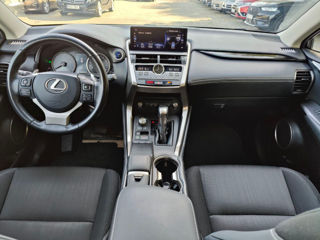 Lexus NX Series foto 10