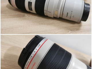 Canon EOS 5D MK-IV (Canon 70-200mm/ Canon EF 15mm/ Canon 28-135mm) foto 6