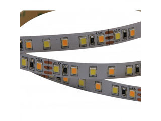 Bandă LED 2835/180 W+WW (2700K/6500K) IP20 12V 8W/m, 5m foto 3