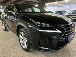 Lexus NX Series foto 14