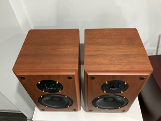 Акустика Sabre by Ruark Acoustics foto 4