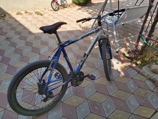 Bicicleta foto 1