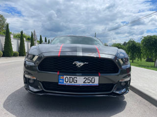 Ford Mustang foto 7