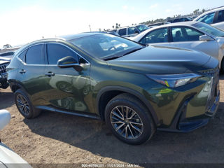 Lexus NX Series foto 8