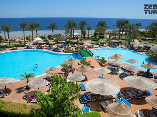 Egipt, Sharm El Sheikh - Albatros Royal Grand Sharm 5*