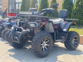 Viper 250 L foto 5