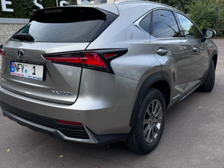 Lexus NX Series foto 3