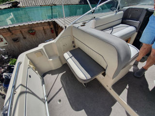 Bayliner Siera 2355 foto 16