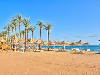 Шарм Эль Шейх!  Отель  "Seti Sharm Resort 4*" Вылет 15.12.2024! foto 6